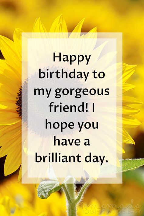 Beautiful Happy Birthday Images, Birthday Images For Her, Birthday Images With Quotes, Happy Birthday Friendship, Happy Birthday For Her, Beautiful Happy Birthday, Happy Birthday For Him, Happy Birthday Typography, Best Birthday Quotes