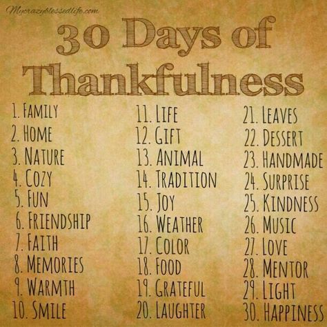 30 days of Thankfulness Thankful Ideas, 30 Days Of Thankfulness, Gratitude Attitude, Gratitude Jar, Social Media Challenges, Journal Gratitude, Monthly Activities, Scripture Writing, Gratitude Challenge