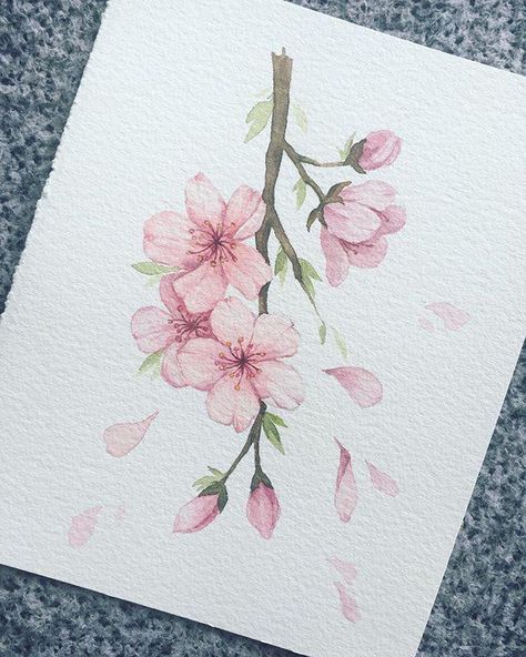 Cherry Blossom Drawing, Cherry Blossom Watercolor, Cherry Blossom Painting, Acrylic Painting Ideas, Cherry Blossom Art, Flower Art Drawing, Blossoms Art, Watercolor Flower Art, Watercolor Painting Techniques