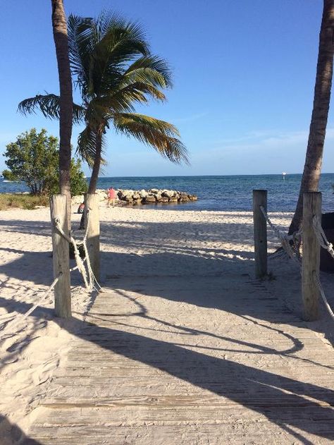 A perfect location for a beach wedding - Review of Smathers Beach, Key West, FL - TripAdvisor Smathers Beach Key West Weddings, Smathers Beach Key West, Key West Wedding, Key West Fl, Key West Florida, Florida Keys, Key West, Wedding Shower, Beach Wedding