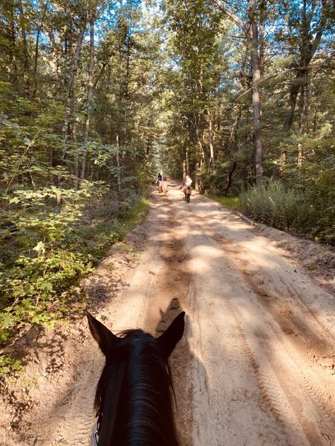 Trail Riding Aesthetic, Horse Trail Ride, Horseback Riding Aesthetic, Summer Camp Aesthetic, Trail Riding Horses, Hike Trail, Trail Horse, Ride Horse, Fox Hunter