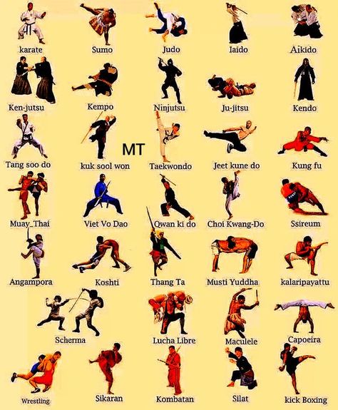 Brazilian Jujitsu, Types Of Martial Arts, Best Martial Arts, Martial Arts Styles, Martial Arts Training, Self Defense, Martial Arts, Defense, Art Style