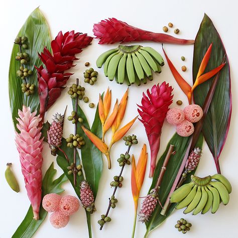 the little berry/bud flowers Fiji Wedding, Tropical Wedding Inspiration, Key West Wedding, Luxury Wedding Decor, Wedding Reception Flowers, Giant Paper Flowers, Wedding Mood Board, Wedding Mood, Island Weddings