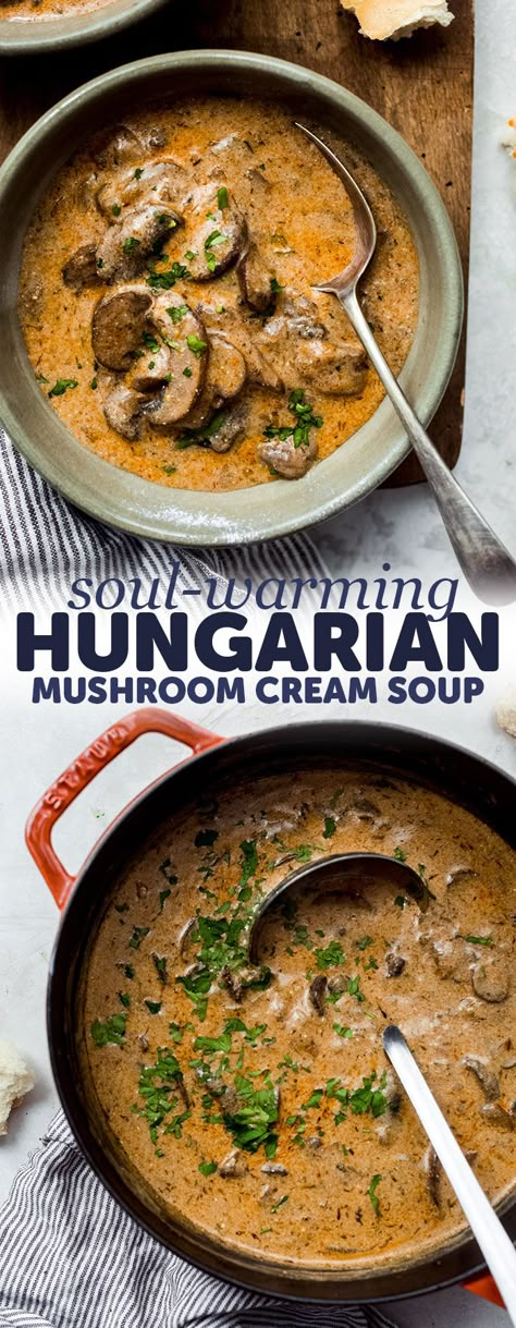 Soul-Warming Hungarian Mushroom Soup - Loaded with tons of sauteed mushrooms this soup is hearty and filling! Perfect as an appetizer for dinner or for boxed lunches! #mushroomsoup #homemadesoup #soup #souprecipes #mushroomsouprecipe | Littlespicejar.com Mushroom Cream Soup, Hungarian Mushroom, Hungarian Mushroom Soup, Mushroom Soup Recipe, Drink Party, Soup Appetizers, Mushroom Soup Recipes, Pizza Bites, Spice Jar