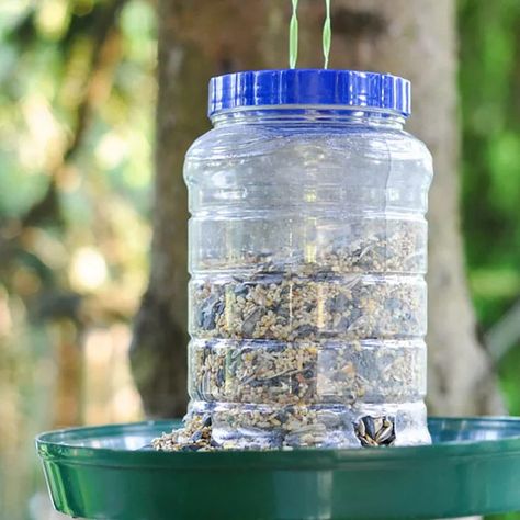 14 Easy DIY Winter Bird Feeders — The Family Handyman Peanut Bird Feeder, Winter Bird Feeders, Mason Jar Bird Feeders, Suet Bird Feeder, Make A Bird Feeder, Wooden Bird Feeders, Bird Houses Ideas Diy, Homemade Bird Feeders, Plant Saucer