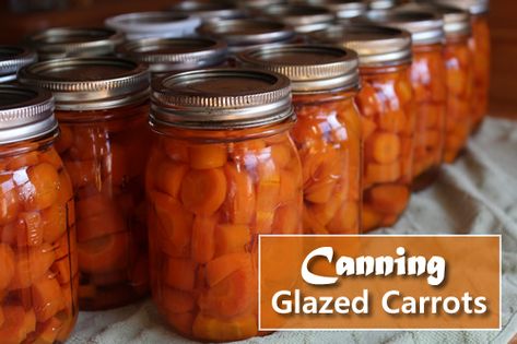 Bottled Carrots Recipe, Jarred Carrots, Canning Glazed Carrots, Canning Candied Carrots, Carrot Recipes For Canning, Canning Carrots Pressure, Carrots Canning Recipes, Carrot Canning Recipes, Canning Carrots Recipes