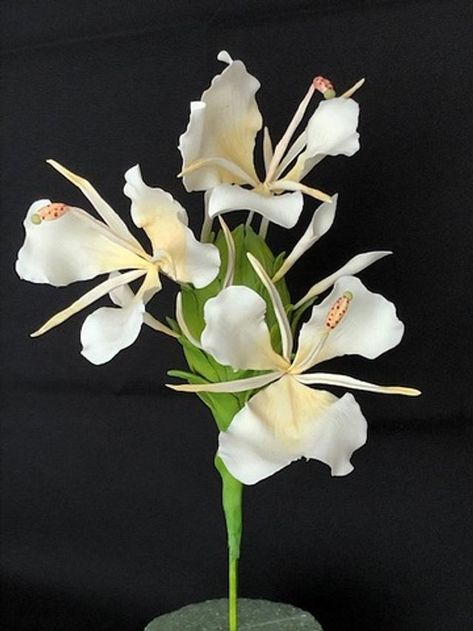 Ginger Lily, Ginger Flower, Gumpaste Flowers, Lily Plants, Fondant Flowers, Wafer Paper, Paper Clay, Gum Paste, Paper Flowers