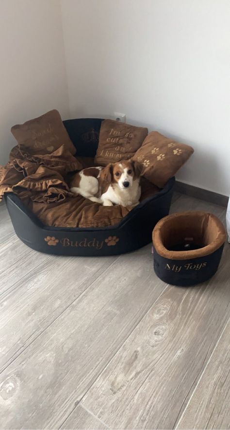 Big Dog Bed, Unique Dog Beds, Leather Dog Bed, Big Dog Beds, Stylish Dog Beds, Luxury Dog Bed, Pet Room, Luxury Pet Beds, Cute Dog Beds