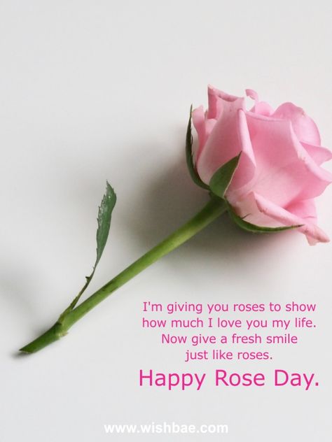 7 February Rose Day, Rose Day Gift Ideas, Happy Rose Day My Love, Rose Desktop Wallpaper, Happy Rose Day Images, Happy Rose Day Wallpaper, Rose Day Pic, Rose Day Images, Rose Day Wishes