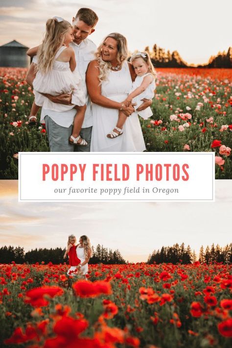 Visiting the Oregon Poppy fields! Our golden hour photo shoot in the beautiful poppy fields was even more breathtaking in person. I will tell you exactly how to find this hidden gem just south of Portland! #poppies #poppy #poppyfields #flowerfields #golde Simple Diy Projects, Poppy Garden, Poppy Fields, Golden Hour Photos, Golden Hour Photography, Toddler Girl Style, Poppy Field, Parenting Memes, Interesting Reads