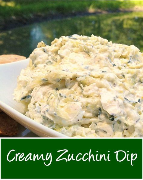 Easy Zucchini Dip - Basilmomma Zucchini Dip Recipes, Zucchini Appetizer Recipes, Zucchini Dip, Keto Dips, Zucchini Appetizer, Cold Dip, Zucchini Relish, Zucchini Pancakes, Zucchini Recipe