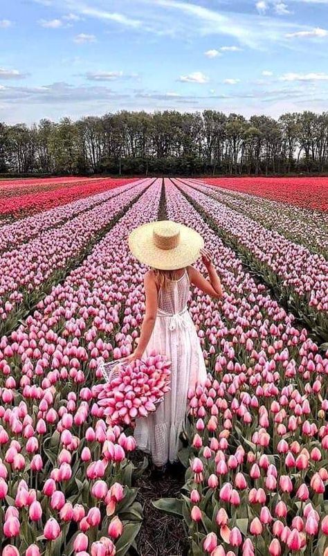 Flower Farms, Theme Photoshoot, Spring Photoshoot, Flower Photoshoot, Tulip Fields, Foto Pose, Foto Inspiration, Beautiful Blooms, Flower Field