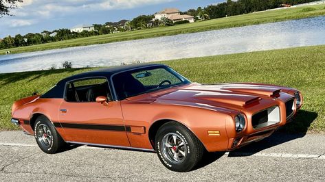 The 1971 Firebird Formula was revamped to include a base 350 as well as two 455s. Join Muscle Car Campy for a drive. 1971 Firebird, The Firebird, Firebird Formula, Pontiac Cars, Fire Bird, Pontiac Firebird, Wide Body, Car Culture, Firebird