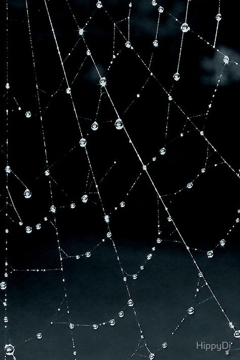 Glistening Spiders Web by HippyDi Poem Illustration, Shin Hati, Mermaid Jewellery, Uicideboy Wallpaper, Spiders Web, Spider Web Decoration, Chalk Sign, Gothic Wallpaper, Beaded Spiders