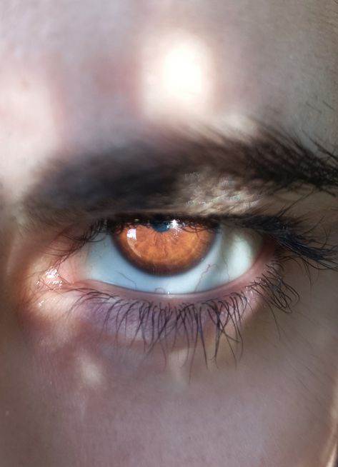 Amber Eyes Aesthetic Male, Brown Eyes Aesthetic Male, Sunken Eyes Aesthetic, Eyes References, Men Eyes, Man Eyes, Eyes Reference, Brown Eyes Aesthetic, Copper Eye