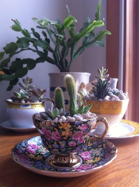 21 Amazing Teacup Craft Ideas - 134 Succulent Tea Cup, Teapot Garden Ideas, Tea Cup Crafts Diy, Old Tea Cups Ideas, Tea Cup Crafts, Teacup Crafts Diy, Teacup Decor, Teacup Ideas, Tea Cup Candles Diy