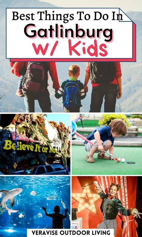 Best Things To Do In Gatlinburg With Kids • Ripley's Aquarium of the Smokies • Ober Gatlinburg • Great Smoky Mountains National Park • Mountain Coaster Ride Gatlinburg Tennessee Cabins, Tennessee Family Vacation, Things To Do In Gatlinburg, Gatlinburg Tennessee Vacation, Midwest Vacations, Smokey Mountains Vacation, Ober Gatlinburg, Gatlinburg Vacation, Tennessee Travel