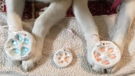 DIY Paw Print Ornaments with Rosie and the Huskies – Rosie & the Huskies Diy Paw Print, Salt Clay, Three Ingredient Recipes, Paw Print Ornament, Real Dog, Clay Food, Dog Paw Print, Pet Paws, Dog Paw