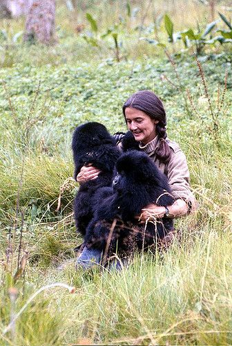 Dian Fossey 1932-1985 | Nyirmachabelli-"The woman who lives … | Flickr Gorillas In The Mist, Dian Fossey, Jane Goodall, Mountain Gorilla, Great Ape, Charles Bukowski, Bukowski, Primates, Inspirational People