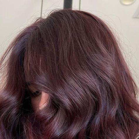 Brunette Purple Undertones, Light Brown Plum Hair, Cherry Brown Hair Aesthetic, Purple Light Brown Hair, Reddish Purple Brown Hair, Deep Berry Hair Color, Dark Solid Hair Color, Medium Plum Brown Hair, Hair Colours For Dark Hair