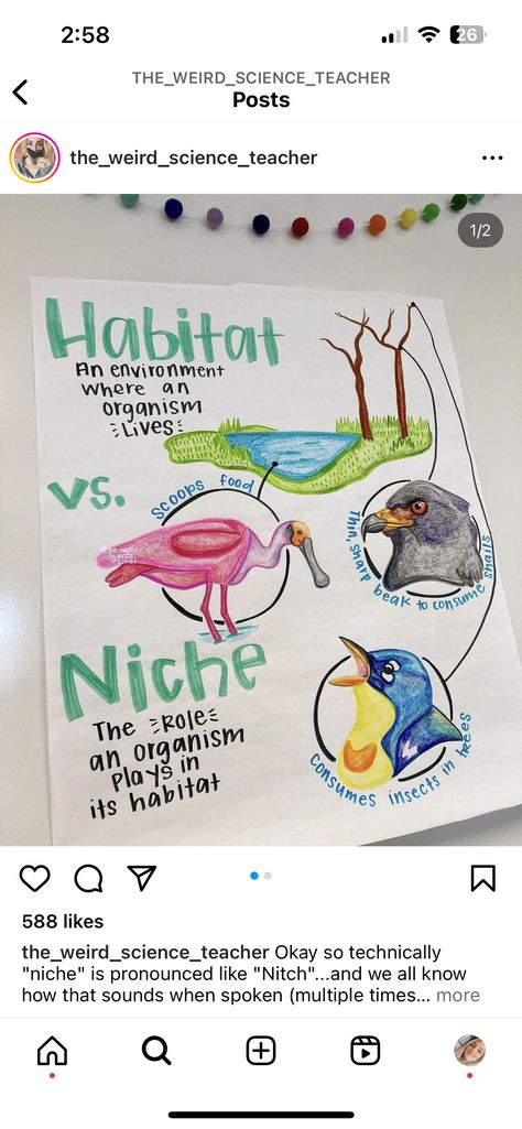 Earth Science Labs High School, The Weird Science Teacher, Ecosystem Anchor Chart, Biology Lesson Plans, Biology Ideas, Biology Teaching, Science Posters, Ap Environmental Science, Earth Science Lessons