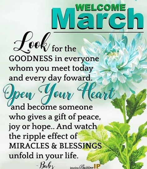 7 Likes, 2 Comments - @fafahanbali on Instagram: “regram @inspirepositivesoulsensations Welcoming March 🦋 #inspirepositivesoulsensations…” Month Of March Quotes, Hello March Quotes, New Month Greetings, Happy New Month Quotes, Welcome March, New Month Wishes, March Quotes, New Month Quotes, Month Quotes