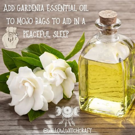 Gardenia Magickal Tip #topicoftheday #todaysposts #gardenia #gardeniamagick #gardeniamagickalproperties #magick #witchcraft #magickaltips #magickalproperties #flowermagick #essentialoil #gardeniaessentialoil #themagickofflowers Gardenia Essential Oil, Essential Oils, Herbs, On Instagram, Quick Saves, Instagram