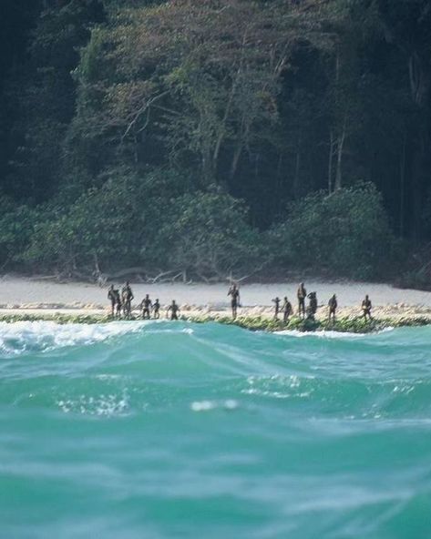 north sentinel island, a small island in the bay of bengal that falls under indian territory, is home to one of the most isolated groups in the world: the sentinelese. they have attacked anyone who tries to land on their island with arrows before disappearing into the forest. no one knows their language or what they even call themselves. since 1981, the indian government has been making attempts to contact the tribe, but no real meaningful interaction occurred—except for one. in 1991, india... North Sentinel Island, Indian Territory, Bay Of Bengal, Into The Forest, Indian Government, The Tribe, Small Island, The Forest, Online Courses