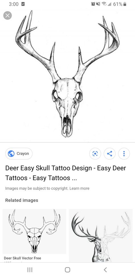 Reindeer Skull Tattoo, Deer Skull Tattoo For Men, Reindeer Skull, Deer Skull Tattoo, Deer Skull Tattoos, Skull Sketch, Deer Horns, Deer Tattoo, Deer Skull