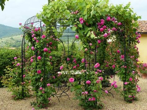 Gardening around - Casa Portagioia: pretty gazebo climbing roses Pretty Gazebo, Wrought Iron Gazebo, Iron Gazebo, Open Gazebo, Garden With Flowers, Pinterest Garden, Country Gardens, Backyard Gazebo, Lawn Art