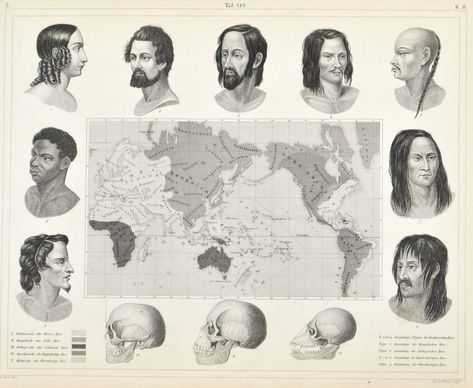 A map of the "Five Races" described by Johann Friedrich Blumenbach - Treatise on "De generis humani varietate nativa". Five skulls labelled Tungusae, Caribaei, Feminae Georgianae, O-taheitae, Aethiopissae, presumably serving as specimens for Blumenbach's Mongolian, American, Caucasian, Malayan and Aethiopian races. Blumenbach was an alumni of Göttingen. Ottoman Harem, Cultural Stereotypes, Caucasian Race, P T Barnum, Forensic Anthropology, Human Oddities, World Movies, Space Aliens, Somali