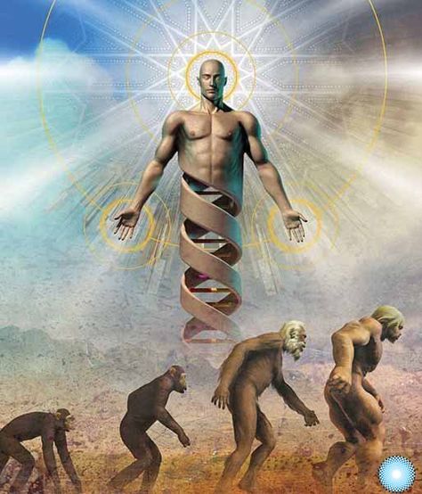 homo angelicus Theory Of Evolution, Book Of Genesis, Human Evolution, Psy Art, Spiritual Transformation, Charles Darwin, Human Species, Intelligent Design, Carl Jung