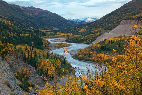 https://flic.kr/p/dEkVXd | Autumn on the Nenana River | The Nenana River meanders through the Alaskan landscape, near Denali National Park...  #beautiful #Denali #National #Park #nature #photography Mountain River, Denali National Park, River Falls, Fantasy Places, New Earth, God Art, Mountain Landscape, Blog Photo, See Picture