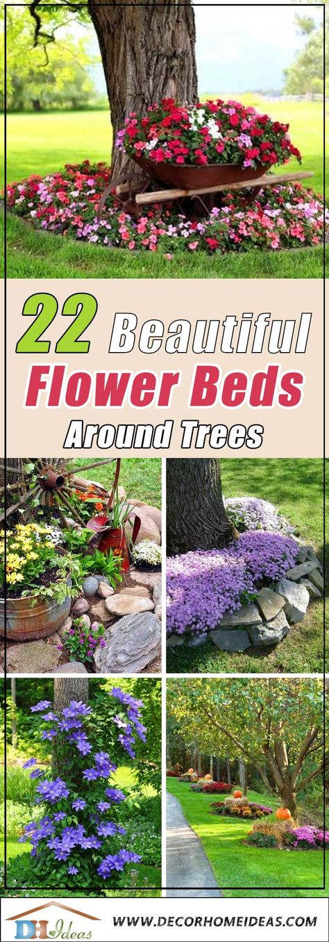 Flower Beds Around Trees, Beds Around Trees, Beautiful Flower Beds, Flower Trees, Landscaping Around Trees, Tree Bed, Trees Beautiful, Raised Flower Beds, Flower Bed Designs