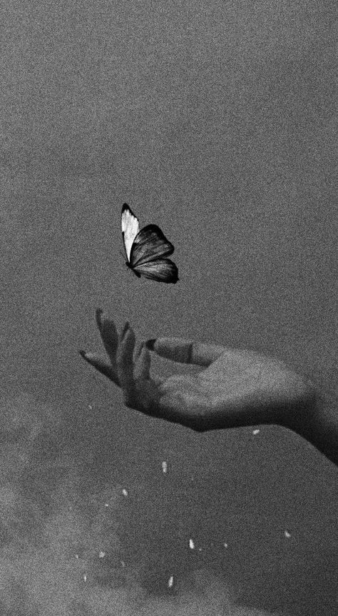 Good Morning Handsome Quotes, Beautiful Butterfly Pictures, Flying With A Baby, Hand Photography, 1080p Anime Wallpaper, Spiritual Artwork, Butterfly Photos, Creative Profile Picture, Butterfly Pictures