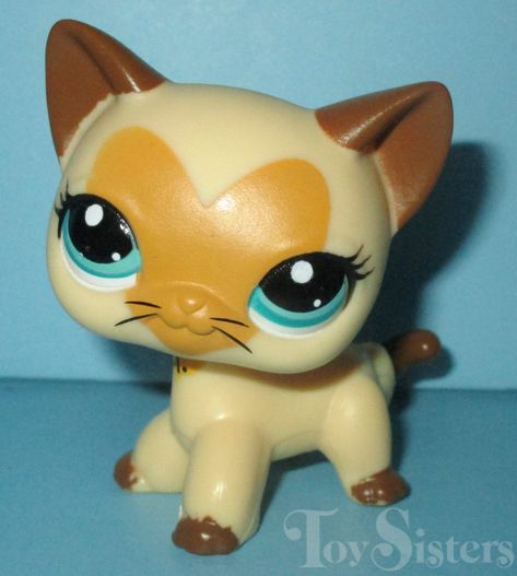 Cat Checklist, Lps Shorthair, Rare Lps, Lps Popular, Lps Cats, Lps Toys, Lps Pets, Little Pet Shop Toys, Lps Littlest Pet Shop