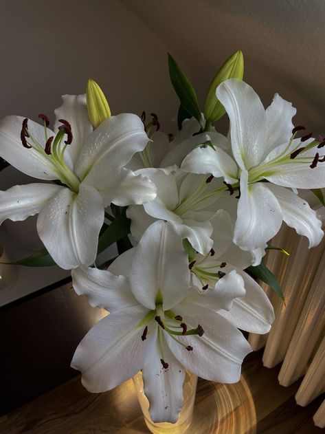 White Amaryllis Aesthetic, White Lily Flower, Lilly Flower, Boquette Flowers, Lily Flowers, Nothing But Flowers, Flower Therapy, Beautiful Bouquet Of Flowers, White Lilies