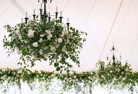 This wedding tent ceiling at Belle Haven Club in Greenwich was decorated with chandeliers covered in cascading greenery with roses and snowberries. Event design and florals by KD&J Botanica. Photo by Darina Todorova. #floralchandelier #tentedwedding #weddingflowers Wedding Tent Ceiling, Chandelier Greenery, Tent Ceiling, Wildflower Wedding Theme, Wedding Ceiling, Neutral Wedding Flowers, Wedding Chandelier, Flower Chandelier, Flower Installation