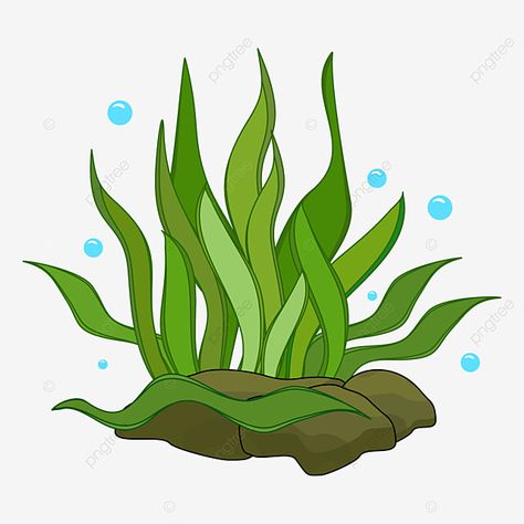 Sea Algae Drawing, Seaweed Reference, Seaweed Silhouette, Seaweed Clipart, Seaweed Illustration, Clip Art Png, Chest Pain, Art Png, Background For Photography