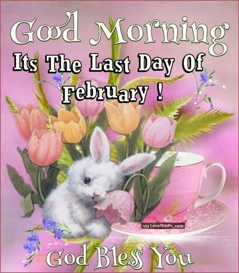 Last Day Of February Quotes, Good Morning February, Christian Birthday Greetings, Hello February Quotes, February Images, February Quotes, Quote Pictures, Weekday Quotes, Days In February