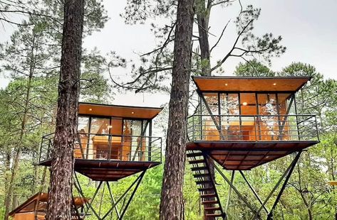 Elevated Houses, Treehouse Airbnb, Modern Tree House, Beautiful Tree Houses, Tropical House Design, Tree House Plans, Cool Tree Houses, Tree House Designs, Tiny House Inspiration