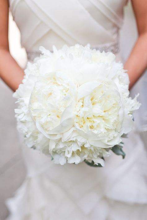 Photography by pencarlsonblog.com/, Planning   Design by birchdesignstudio.com White Peonies Bouquet, Brides Bouquet, Fleur Design, White Bridal Bouquet, White Wedding Bouquets, Peonies Bouquet, White Peonies, White Bouquet, Bride Bouquets