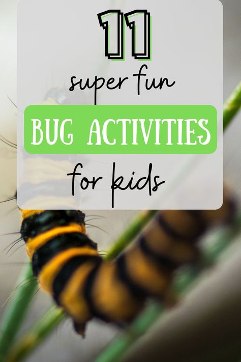 Bug Activities For Kids, Insect Unit Study, Insects For Kids, Origami Paper Flowers, Bug Activities, Insect Unit, Insects Preschool, Summer Homeschool, Bugs Preschool