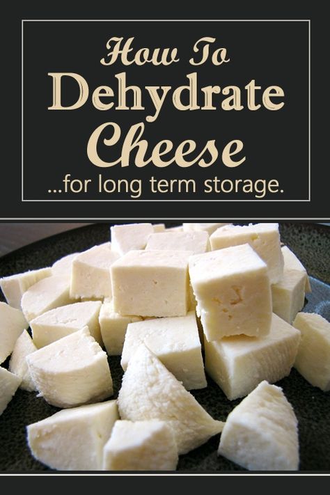 Dehydrate Cheese, Dehydrated Cheese, Dehydrator Recipes Fruit, Dehydrate Potatoes, Homemade Spice Mix, Emergency Food Storage, Dehydrated Fruit, Cheese Cubes, Long Term Storage