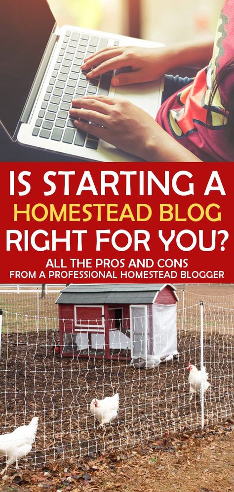 Start A Homestead, Homesteading Life, Homestead Animals, Starting A Farm, Homestead Blog, Modern Homestead, Modern Homesteading, Homesteading Ideas, Homestead House