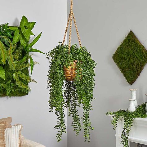 Gledista Arrangement in Hanging Basket | Kirklands Home Sliding Patio Door, Honey Locust, Artificial Hanging Plants, Plants For Hanging Baskets, Silk Plants, Sliding Patio Doors, Kitchen Shelf, Patio Door, Hanging Plant