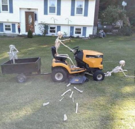 59 Darn Fine Pics to Keep Boredom at Bay - Funny Gallery Skelton Ideas, Halloween Skeleton Ideas, Posing Skeletons, Skeleton Decorations Outdoor, Skeleton Poses, Skeleton Ideas, Life Size Skeleton, Halloween Promotions, Halloween Lawn