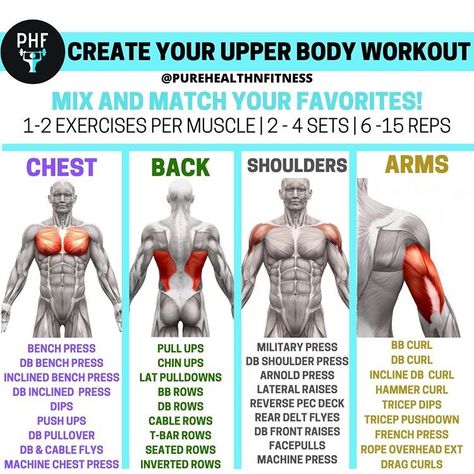 Mix and match our favorite moments to create a custom upper body workout for any goal. Upper Body Workout Gym, Full Upper Body Workout, Upper Body Workouts, Upper Body Workout For Women, Push Workout, Whole Body Workouts, Lifting Workouts, Workout Splits, Muscle Building Workouts