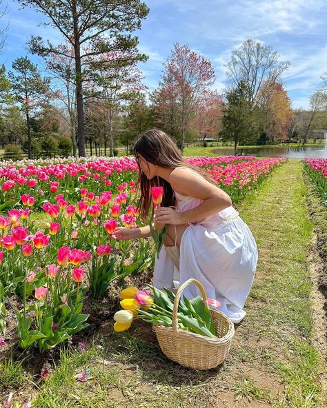 happy spring!🌷🌞🌸💕💐 #flowerfarm #tulipfarm #tulipseason #flowerfield Planting Flowers Aesthetic, 4 Seasons Aesthetic, Spring Activities Aesthetic, Daisy's Aesthetic, Happiness Aesthetic Pictures, Happy Vibes Aesthetic, Spring Instagram Pictures, Spring Time Aesthetic, Spring Vibes Aesthetic