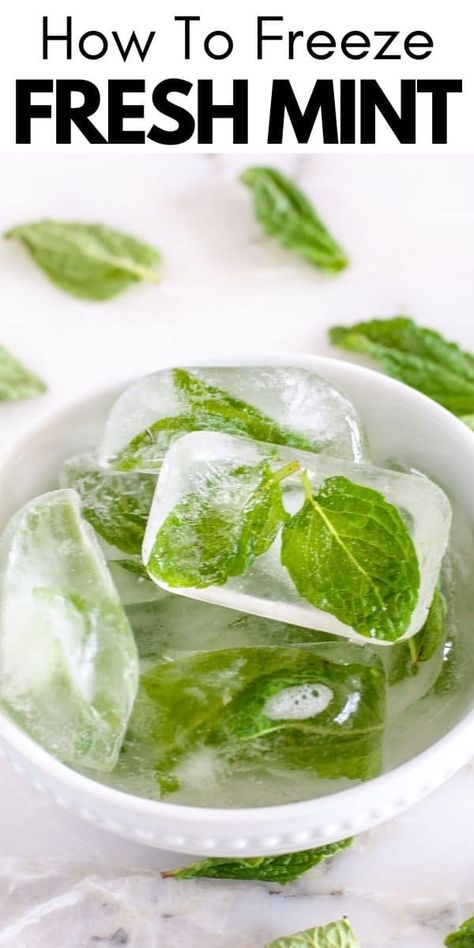 Can You Freeze Mint Leaves, Freezing Fresh Mint Leaves, Freezing Mint Leaves, Fresh Mint Recipes, Freeze Fruit, Gin Garnish, Freezer Hacks, Drying Mint Leaves, Fresh Mint Tea